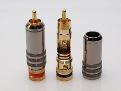 ТЮЛЬПАН RCA JR0530